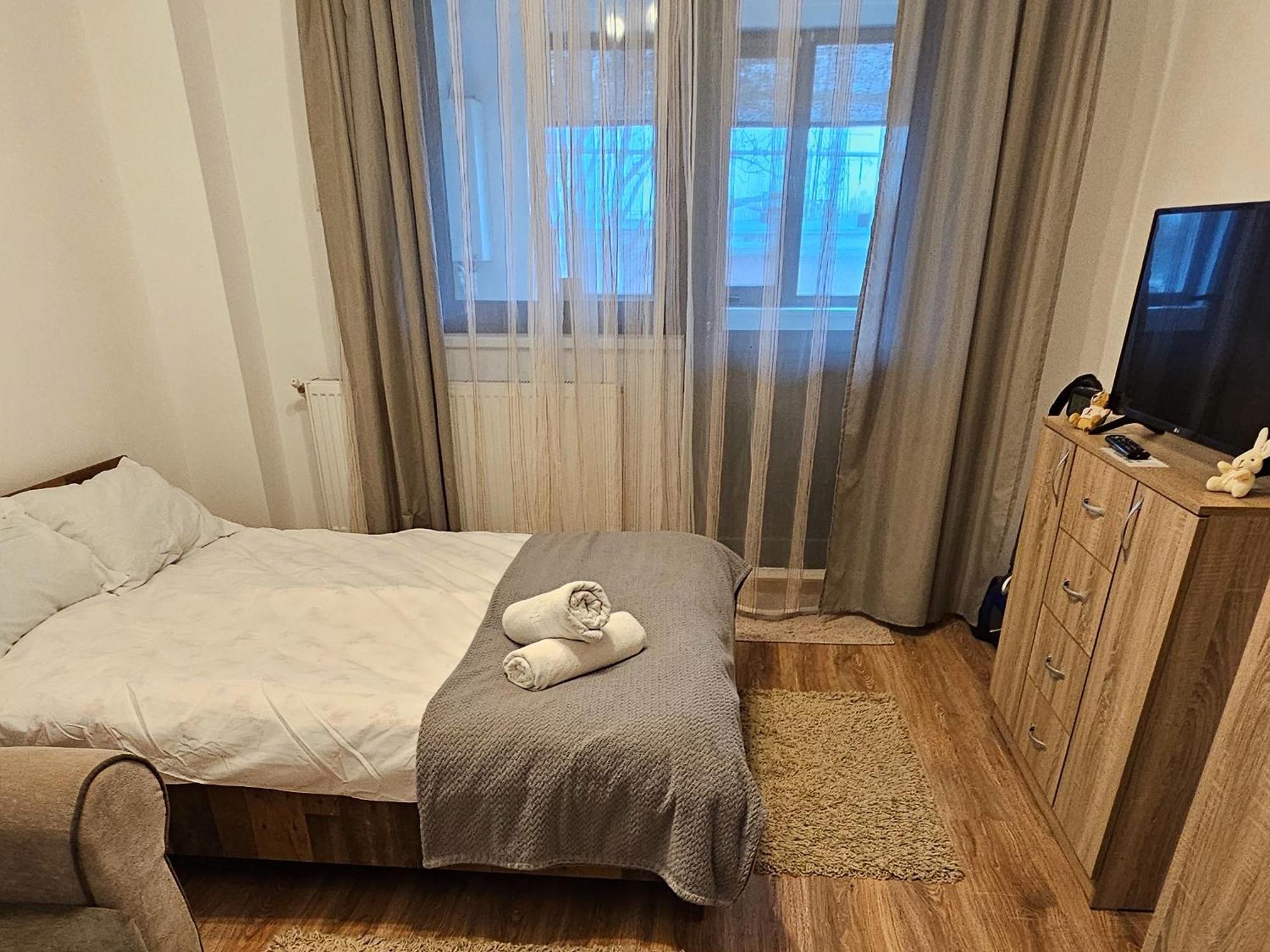 Cozy Studio Braila Exterior photo